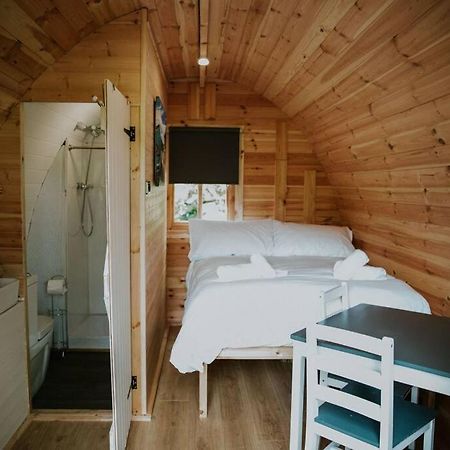 Pine Cosy Winter Cabin - Hot Tub & Log Burner Apartment บาร์มัธ ภายนอก รูปภาพ