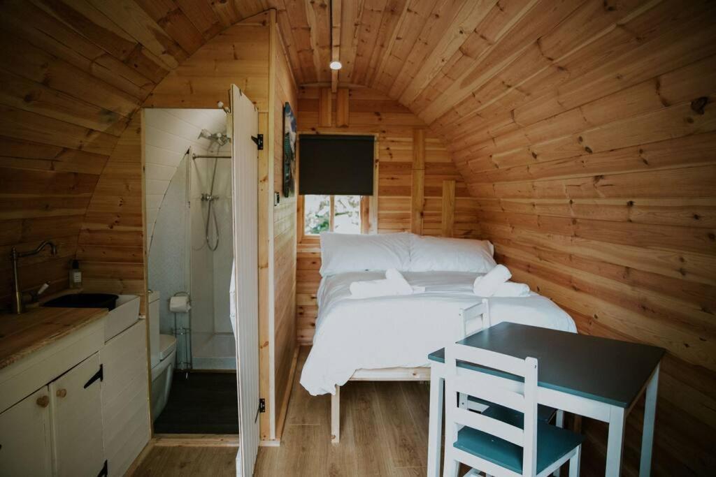 Pine Cosy Winter Cabin - Hot Tub & Log Burner Apartment บาร์มัธ ภายนอก รูปภาพ