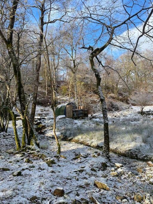 Pine Cosy Winter Cabin - Hot Tub & Log Burner Apartment บาร์มัธ ภายนอก รูปภาพ